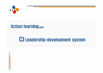 Action learning with CJ Leadership development system-1