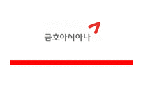 금호아시아나 기업분석-1