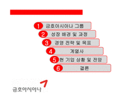 금호아시아나 기업분석-2