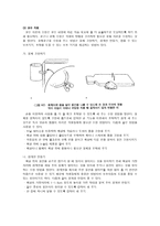 지체장애학생 교육-19