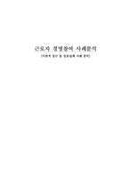 [노사관계론] 근로자 경영참여 사례분석-이론적 접근 및 성공, 실패사례분석-20