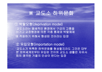 교정시설 교도소 개론-11