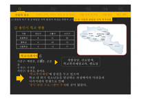 인터넷 게임중독 청소년을 위한 활동 지향적 프로그램-14