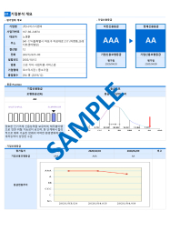 (주)담소필름 기업분석보고서(NR2)-3